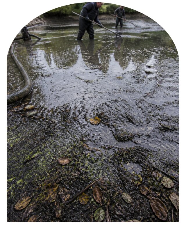 Очистка пруда в Горячем Ключе от ила мусора и водорослей с вывозом